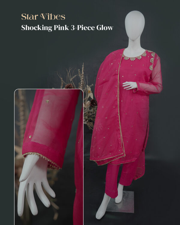 Shocking Pink 3-piece khadi net dress with zardozi, crystal, and sitara work – Star Vibes Clothing